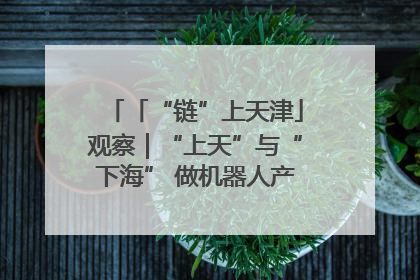 「“链”上天津」观察｜“上天”与“下海” 做机器人产业链细分领域强者