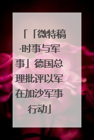 「微特稿·时事与军事」德国总理批评以军在加沙军事行动