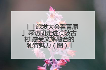 「旅发大会看青原」采访团走进渼陂古村 感受文旅融合的独特魅力（图）