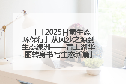 「2025甘肃生态环保行」从风沙之源到生态绿洲——青土湖华丽转身书写生态新篇
