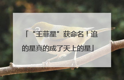 “王菲星”获命名！追的星真的成了天上的星