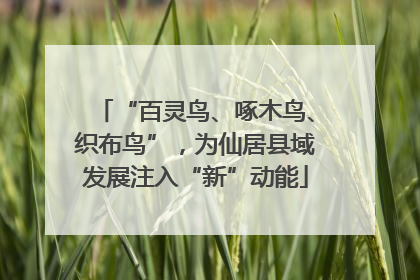 “百灵鸟、啄木鸟、织布鸟”，为仙居县域发展注入“新”动能