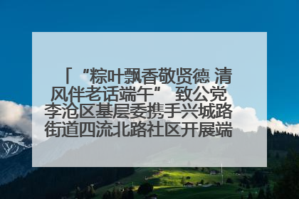 “粽叶飘香敬贤德 清风伴老话端午” 致公党李沧区基层委携手兴城路街道四流北路社区开展端午节主题活动