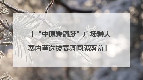 “中原舞翩跹”广场舞大赛内黄选拔赛舞圆满落幕