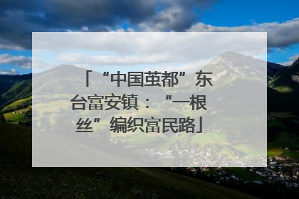 “中国茧都”东台富安镇：“一根丝”编织富民路
