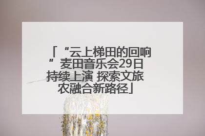 “云上梯田的回响”麦田音乐会29日持续上演 探索文旅农融合新路径