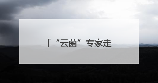 “云菌”专家走进“彩云英才荟”解读“一朵蘑菇”的产业未来