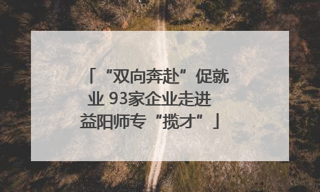 “双向奔赴”促就业 93家企业走进益阳师专“揽才”