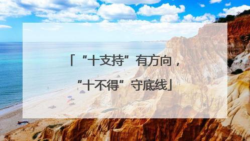 “十支持”有方向，“十不得”守底线