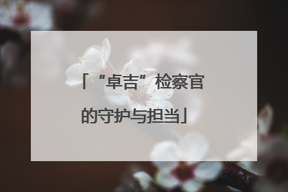 “卓吉”检察官的守护与担当