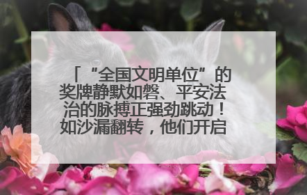 “全国文明单位”的奖牌静默如磐、平安法治的脉搏正强劲跳动！如沙漏翻转，他们开启了全新的计时