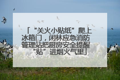 “关火小贴纸”爬上冰箱门，闲林应急消防管理站把厨房安全提醒“贴”进烟火气里