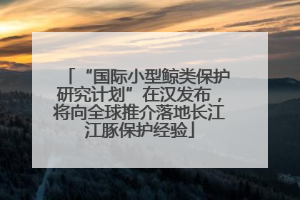 “国际小型鲸类保护研究计划”在汉发布，将向全球推介落地长江江豚保护经验