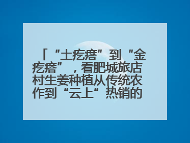 “土疙瘩”到“金疙瘩”，看肥城旅店村生姜种植从传统农作到“云上”热销的蝶变之路