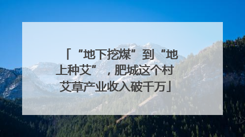 “地下挖煤”到“地上种艾”，肥城这个村艾草产业收入破千万