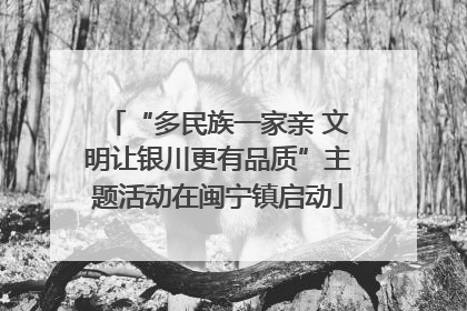 “多民族一家亲 文明让银川更有品质”主题活动在闽宁镇启动