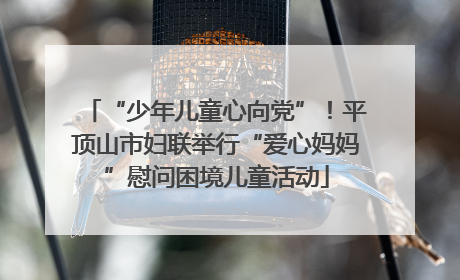 “少年儿童心向党”！平顶山市妇联举行“爱心妈妈”慰问困境儿童活动