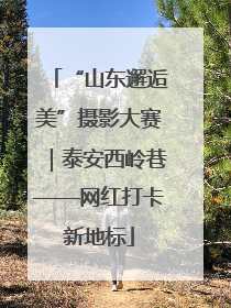 “山东邂逅美”摄影大赛｜泰安西岭巷——网红打卡新地标