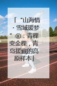 “山海情・雪域援梦”⑧：青稞变金稞，青岛援藏的高原样本