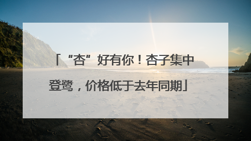 “杏”好有你！杏子集中登鹭，价格低于去年同期