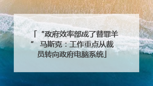 “政府效率部成了替罪羊” 马斯克：工作重点从裁员转向政府电脑系统
