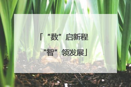 “数”启新程 “智”领发展