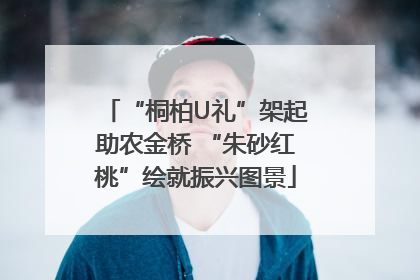 “桐柏U礼”架起助农金桥 “朱砂红桃”绘就振兴图景