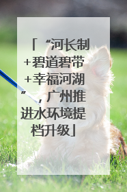 “河长制+碧道碧带+幸福河湖”，广州推进水环境提档升级