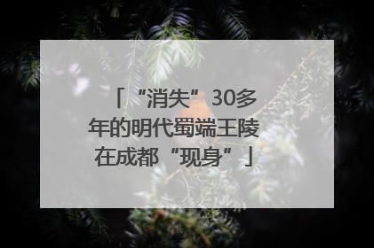 “消失”30多年的明代蜀端王陵在成都“现身”