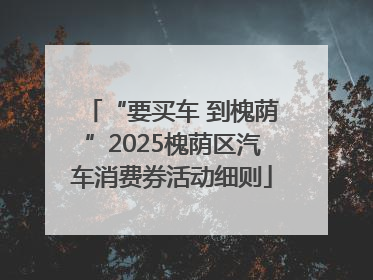 “要买车 到槐荫”2025槐荫区汽车消费券活动细则