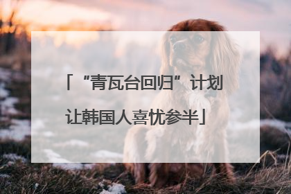 “青瓦台回归”计划让韩国人喜忧参半