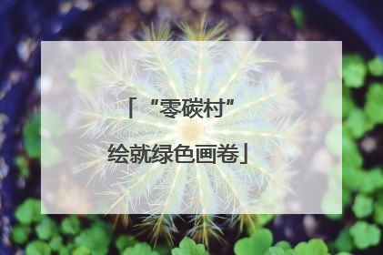 “零碳村” 绘就绿色画卷