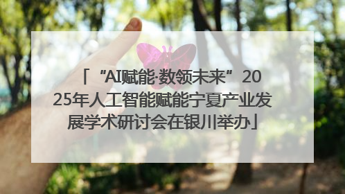 “AI赋能·数领未来”2025年人工智能赋能宁夏产业发展学术研讨会在银川举办