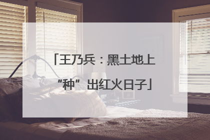 王乃兵：黑土地上“种”出红火日子