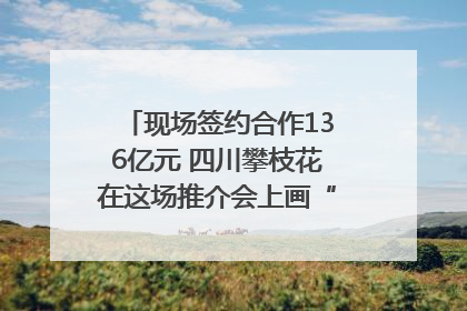 现场签约合作136亿元 四川攀枝花在这场推介会上画“图谱”列“清单”