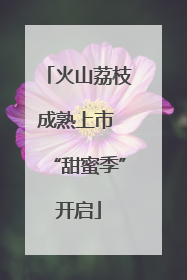 火山荔枝成熟上市 “甜蜜季”开启