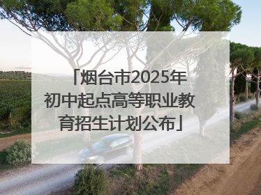 烟台市2025年初中起点高等职业教育招生计划公布
