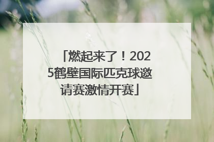 燃起来了！2025鹤壁国际匹克球邀请赛激情开赛