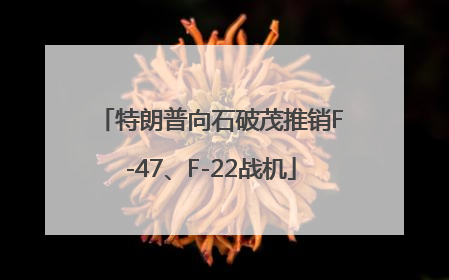 特朗普向石破茂推销F-47、F-22战机