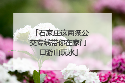 石家庄这两条公交专线带你在家门口游山玩水