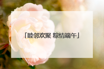 睦邻欢聚 粽情端午