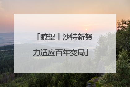 瞭望丨沙特新努力适应百年变局