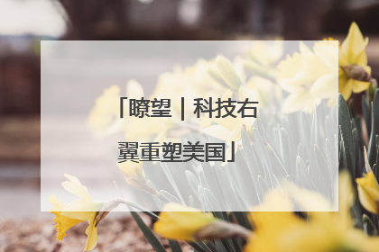 瞭望｜科技右翼重塑美国