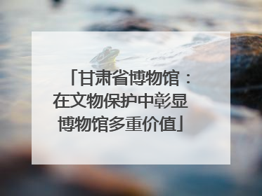 甘肃省博物馆：在文物保护中彰显博物馆多重价值