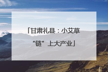 甘肃礼县：小艾草“链”上大产业