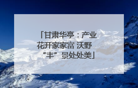 甘肃华亭：产业花开家家富 沃野“丰”景处处美