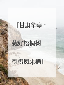 甘肃华亭：栽好梧桐树 引得凤来栖