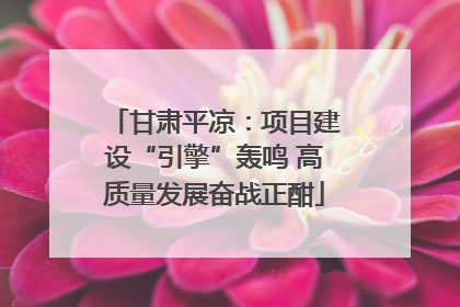 甘肃平凉：项目建设“引擎”轰鸣 高质量发展奋战正酣