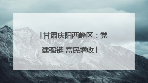甘肃庆阳西峰区：党建强链 富民增收