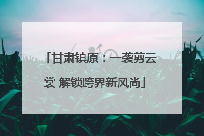 甘肃镇原：一袭剪云裳 解锁跨界新风尚